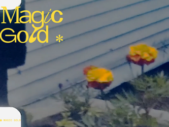 screengrab of Magic Gold website, showing Magic Gold in yellow writing, and a blurry image of two yellow marigold flowers